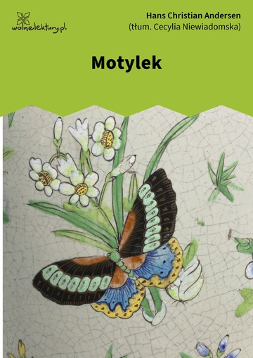 Motylek