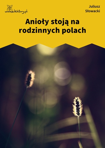 Anioły stoją na rodzinnych polach