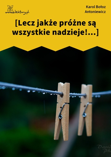 [Lecz jakże próżne są wszystkie nadzieje!...]