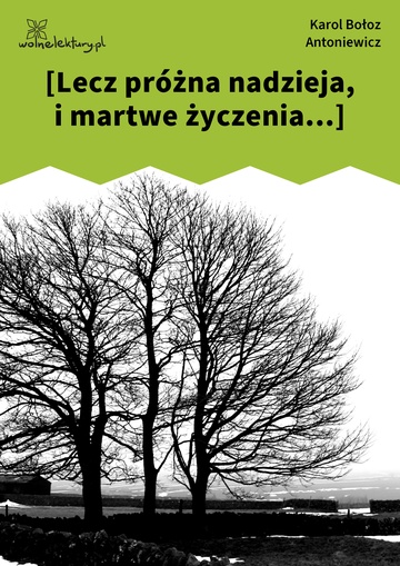 Karol Bołoz Antoniewicz, Sonety, [Lecz próżna nadzieja, i martwe życzenia...]