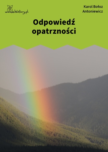 Karol Bołoz Antoniewicz, Sonety, Odpowiedź opatrzności