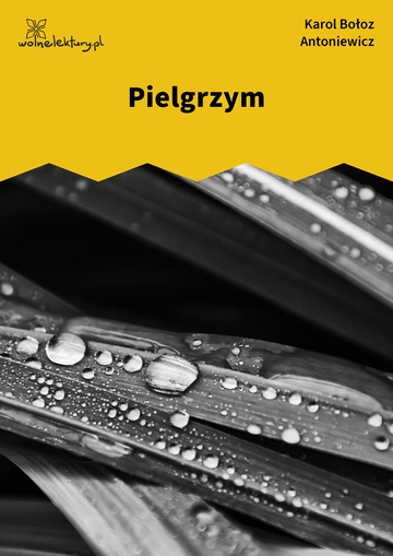 Pielgrzym