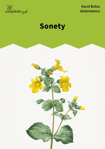 Sonety