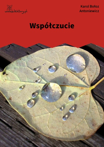 Współczucie