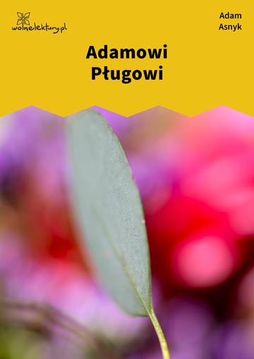 Adamowi Pługowi