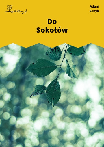 Do Sokołów