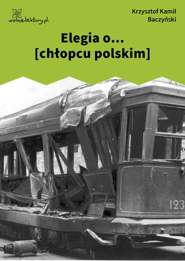 Krzysztof Kamil Baczyński, 1942, 1943, 1944, Elegia o... [chłopcu polskim]