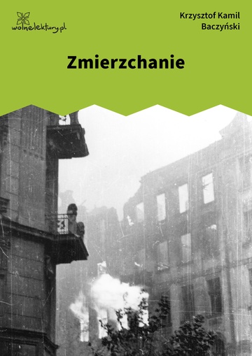 Zmierzchanie