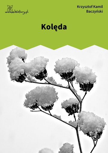 Kolęda