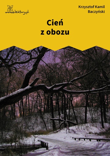 Krzysztof Kamil Baczyński, 1942, 1943, 1944, Cień z obozu