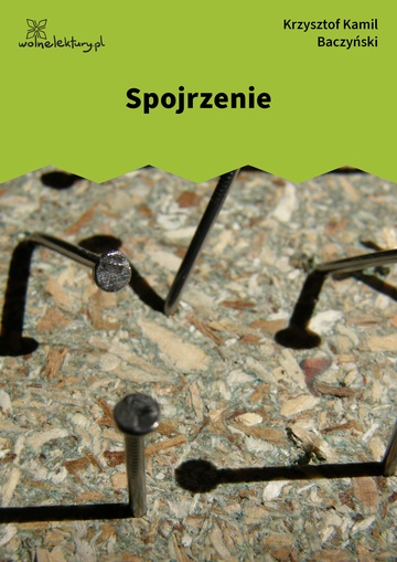 Krzysztof Kamil Baczyński, I część: krzyż człowieczy, Spojrzenie