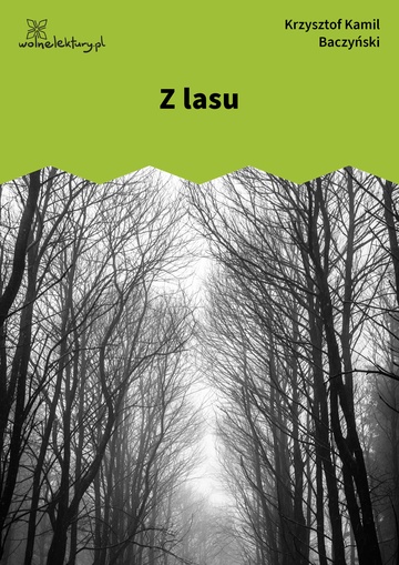 Z lasu