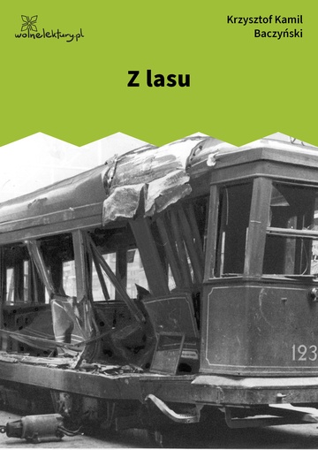 Z lasu