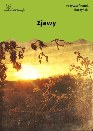 Zjawy