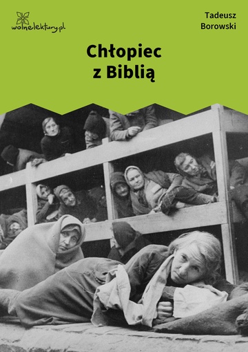 Tadeusz Borowski, ...i inne opowiadania, Chłopiec z Biblią