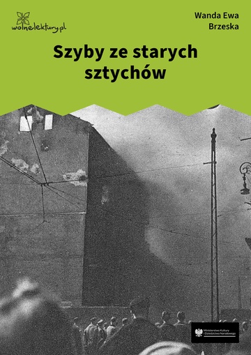 Wanda Ewa Brzeska, Szyby ze starych sztychów