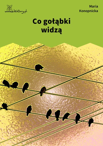 Maria Konopnicka, Poezje dla dzieci do lat 10, część II, Co gołąbki widzą
