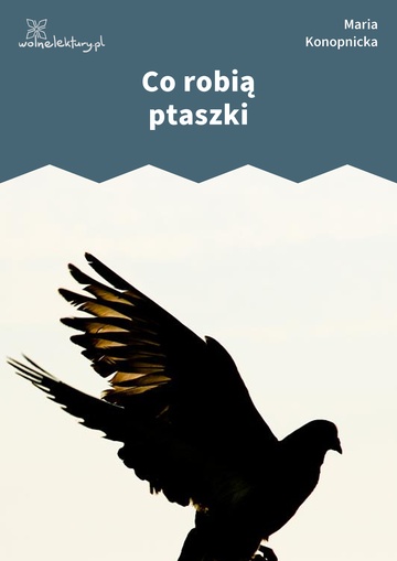 Maria Konopnicka, Poezje dla dzieci do lat 10, część II, Co robią ptaszki