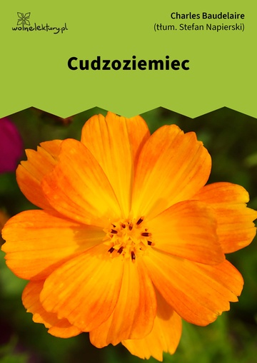 Cudzoziemiec