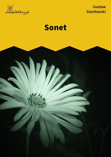 Sonet