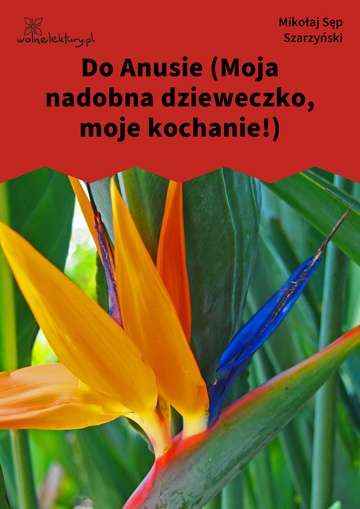 Mikołaj Sęp Szarzyński, Do Anusie (Moja nadobna dzieweczko, moje kochanie!)