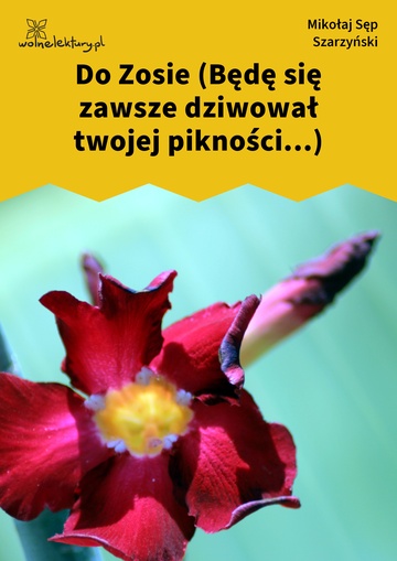 Do Zosie (Będę się zawsze dziwował twojej pikności...)