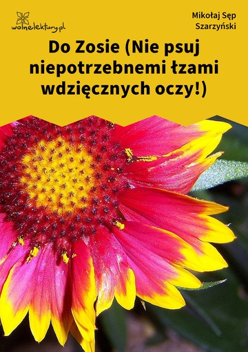 Mikołaj Sęp Szarzyński, Do Zosie (Nie psuj niepotrzebnemi łzami wdzięcznych oczy!)