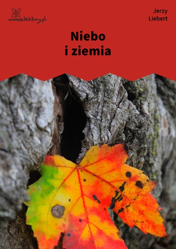 Niebo i ziemia