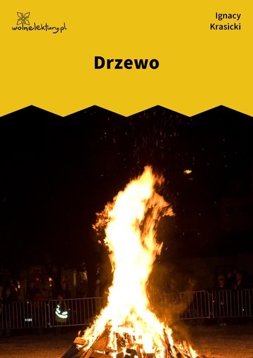 Drzewo