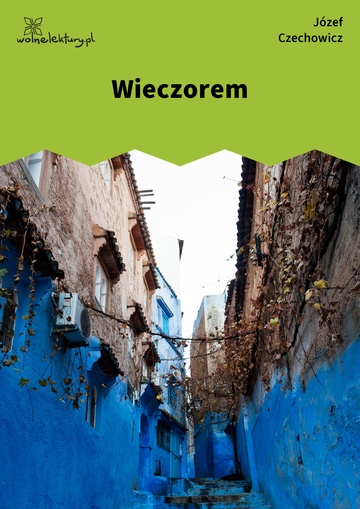 Józef Czechowicz, dzień jak co dzień (tomik), Wieczorem