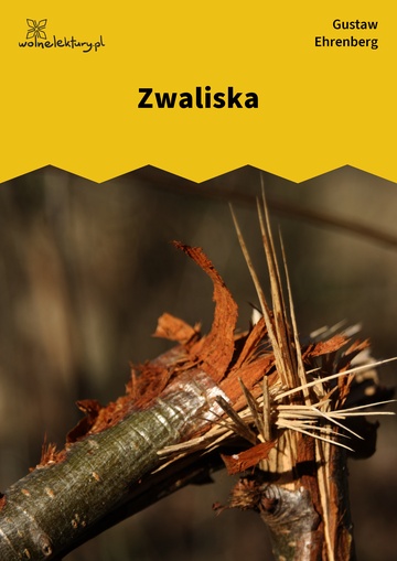 Gustaw Ehrenberg, Dźwięki minionych lat, Zwaliska