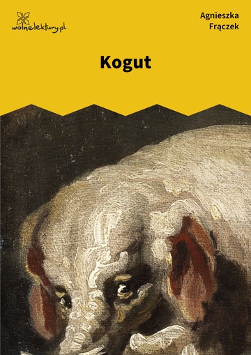 Kogut