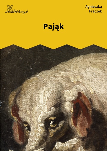 Pająk