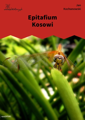 Epitafium Kosowi