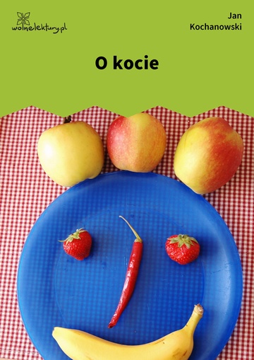 O kocie