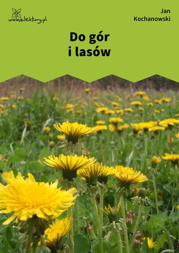 Do gór i lasów