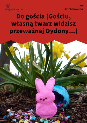 Jan Kochanowski, Fraszki, Księgi trzecie, Do gościa (Gościu, własną twarz widzisz przeważnej Dydony...)