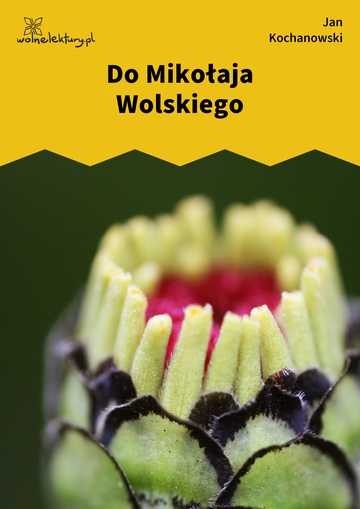 Do Mikołaja Wolskiego