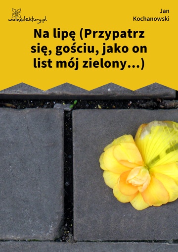 Jan Kochanowski, Fraszki, Księgi trzecie, Na lipę (Przypatrz się, gościu, jako on list mój zielony...)