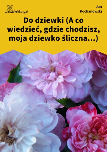 Jan Kochanowski, Fraszki, Księgi wtóre, Do dziewki (A co wiedzieć, gdzie chodzisz, moja dziewko śliczna...)