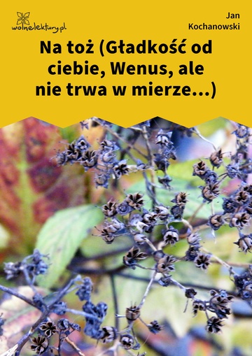 Jan Kochanowski, Fraszki, Księgi wtóre, Na toż (Gładkość od ciebie, Wenus, ale nie trwa w mierze...)