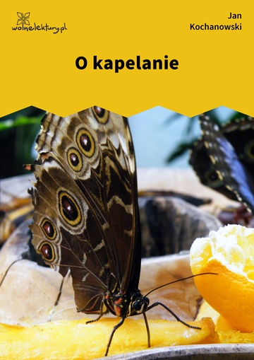 O kapelanie