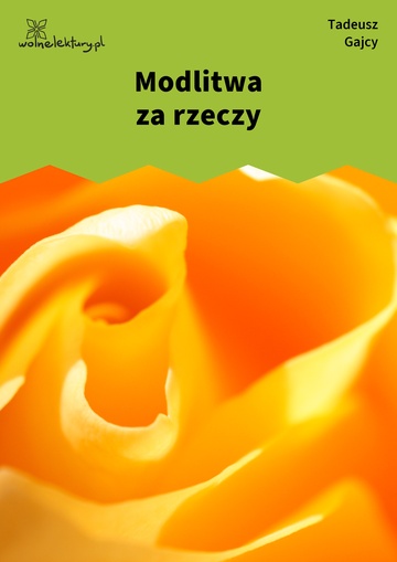 Modlitwa za rzeczy