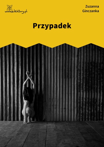 Przypadek