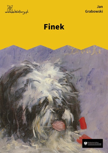 Finek