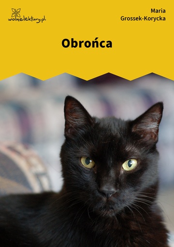 Obrońca