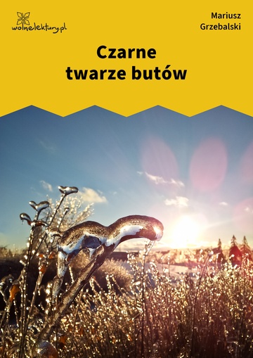 Mariusz Grzebalski, Drugie dotknięcie, Drugie dotknięcie, Czarne twarze butów