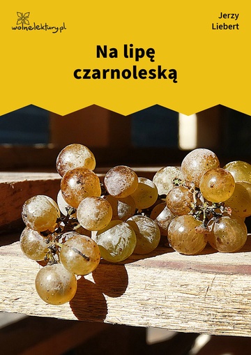 Na lipę czarnoleską