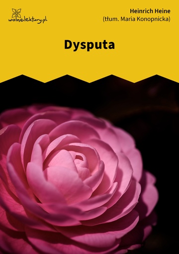 Dysputa