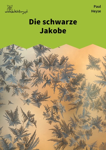 Die schwarze Jakobe